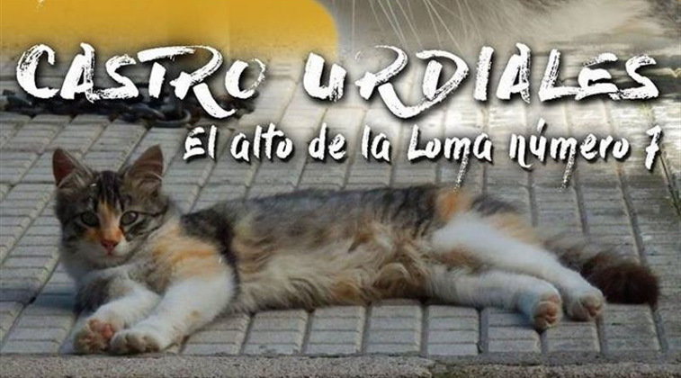 Los vecinos de Castro Urdiales saldrán a la calle para defender la vida de los gatos callejeros