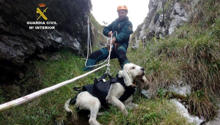 Un momento del rescate del perro en Picos de Europa