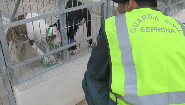 Agente de la Guardia Civil, junto a los perros atacantes. Foto: Guardia Civil