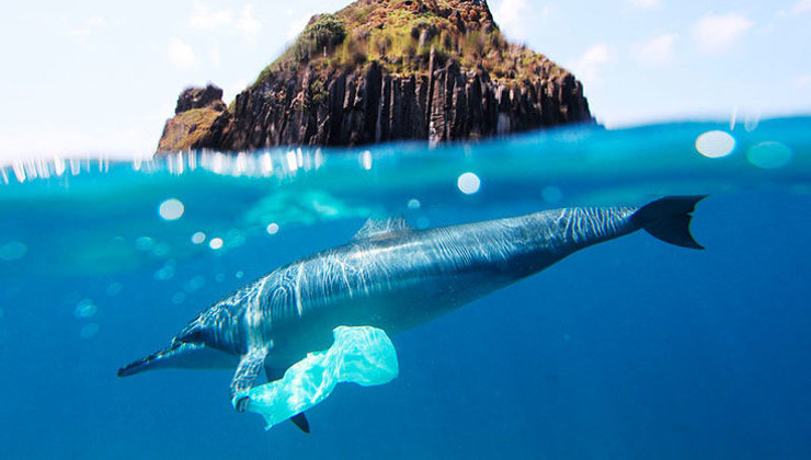 En 2050 los océanos tendrán más plásticos que peces