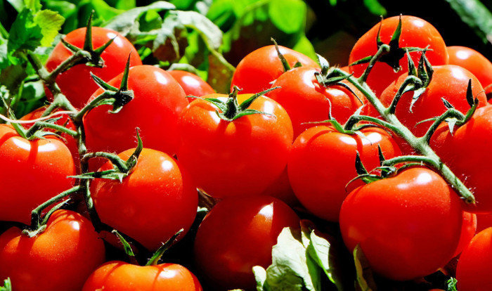 Tomates-mas-rojos-lisos-y-redondos-contra-el-cancer-de-colon