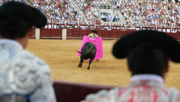 El Parlament balear ha aprobado una ley para celebrar corridas de toros sin herir ni matar al animal