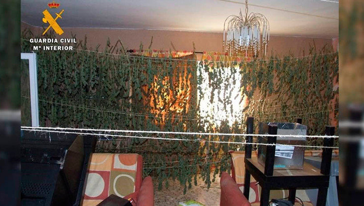 Imagen de las 'cortinas' con las que se secaba la marihuana.