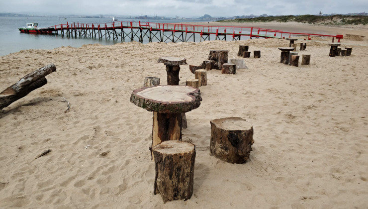 Costas ha solicitado la retirada de estos troncos hasta valorar su legalidad. Foto: O.B.