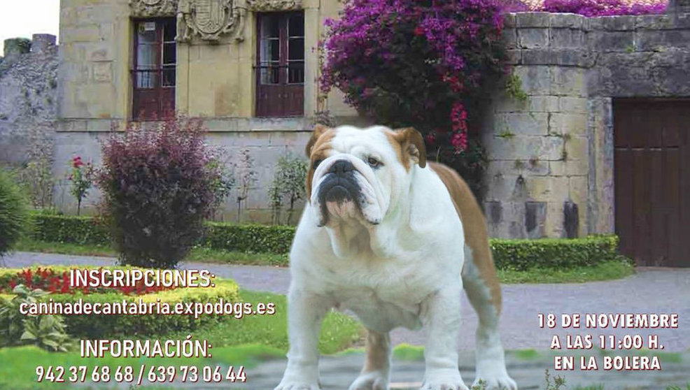 Detalle del cartel del Concurso Canino de Noja