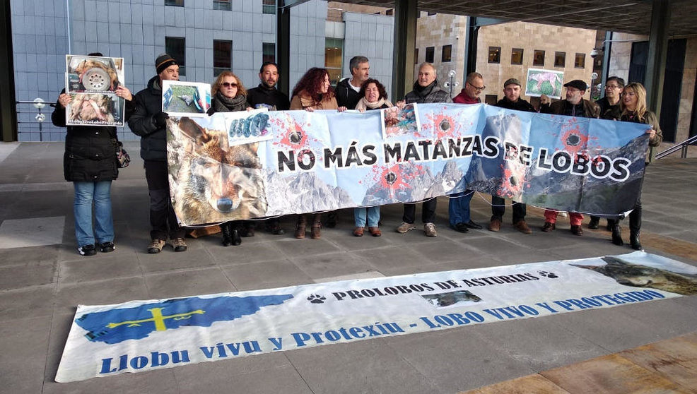Manifestación de ecologistas en defensa del lobo