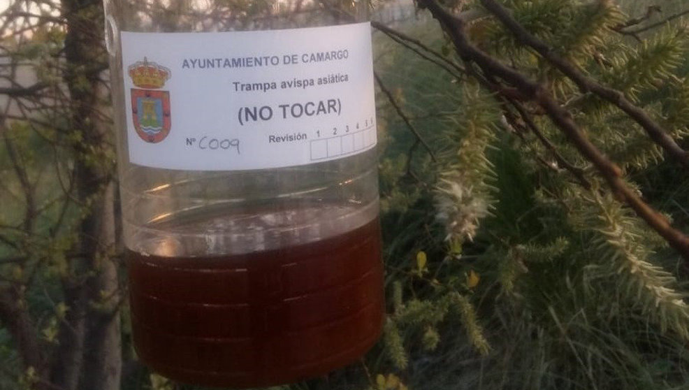 Trampa de avispa asiática del Ayuntamiento de Camargo