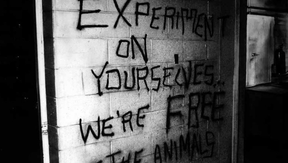 ‘EXPERIMENT ON YOURSELVES… WE’RE FREE – THE ANIMALS (not quite a terrorism)’ de Quique Ortiz