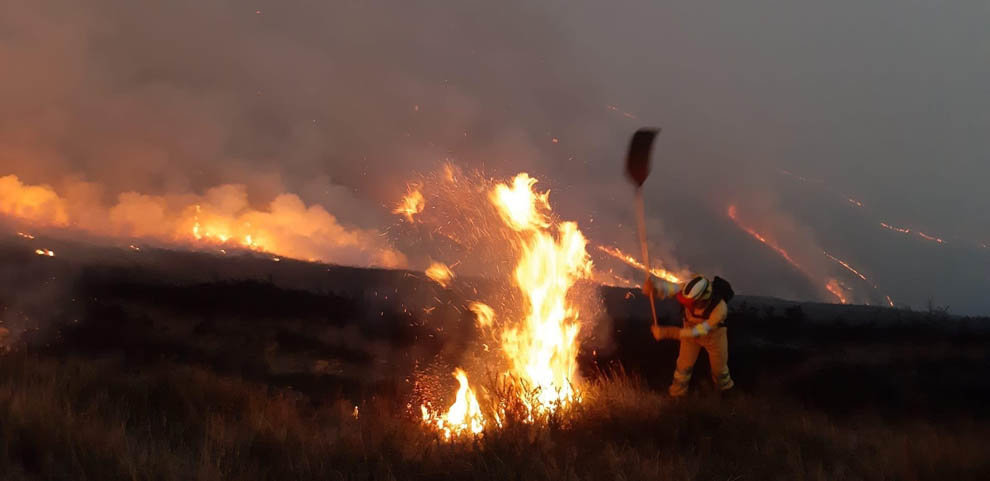 Incendio forestal en ViaÃ±a, CabuÃ©rniga



Incendio forestal en ViaÃ±a, CabuÃ©rniga





1/1/2020