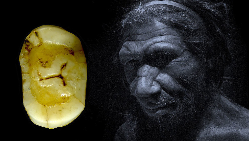 El premolar neandertal de la cueva del Castillo es la nueva pieza del mes del MUPAC