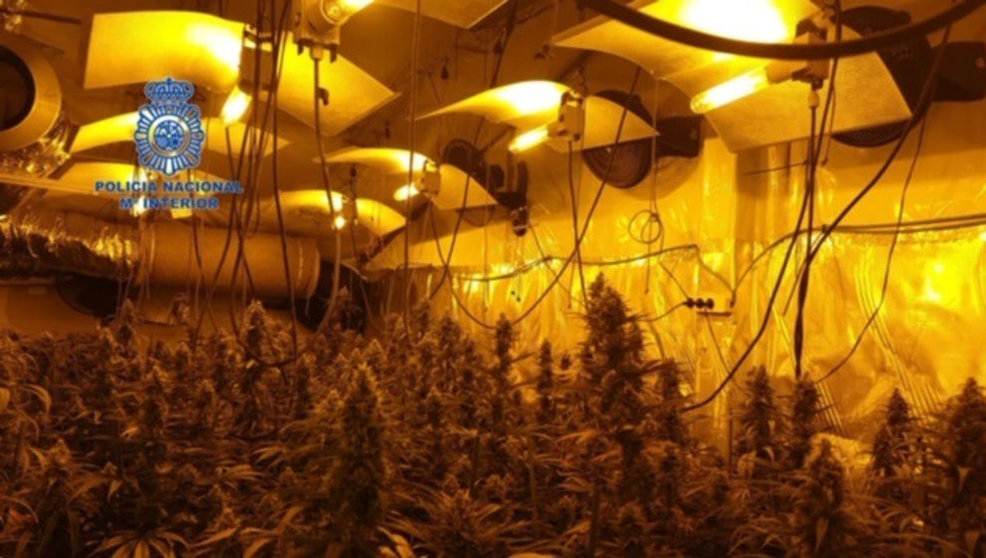 Plantación indoor de marihuana desmantelada por la Policía Nacional