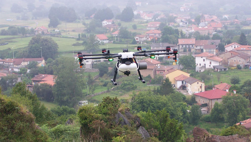 Servicio de drones para aplicación de productos fitosanitarios en Cabárceno para control de plumeros