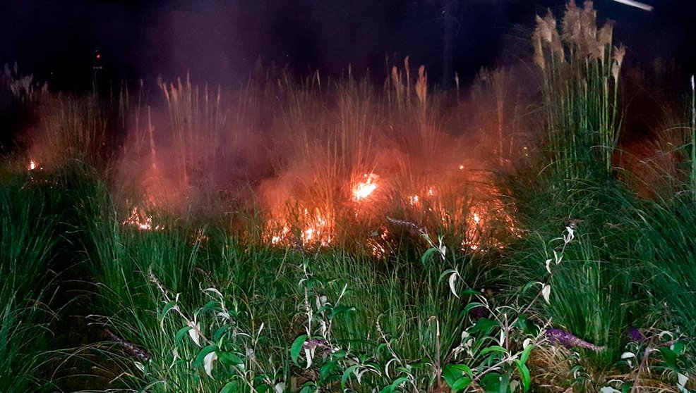 Incendio de vegetación en Maliaño