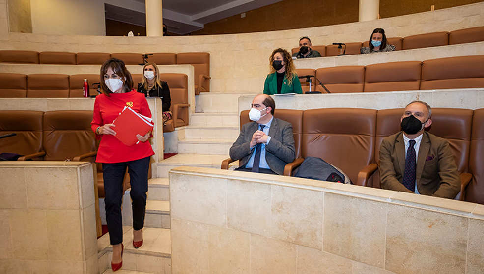 La consejera de Empleo y PolÃ­ticas Sociales, Ana BelÃ©n Ãlvarez, comparece, a peticiÃ³n propia, ante la ComisiÃ³n de Empleo del Parlamento para dar cuenta del I Plan de Empleo Joven de Cantabria.