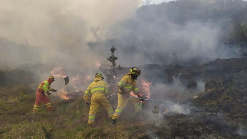 Efectivos trabajan para apagar un incendio forestal