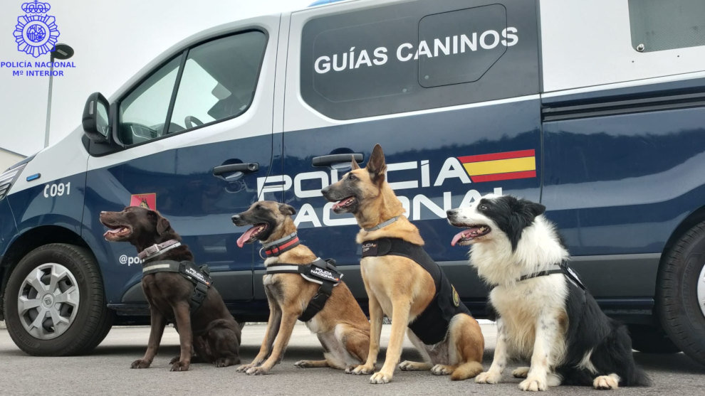 Agentes caninos