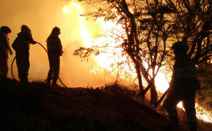 Camargo y Piélagos podrían pagar al Gobierno para que se encargue de los incendios