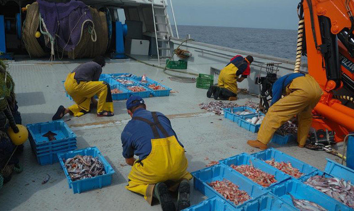 Los pescadores cántabros no consideran buenas las cuotas de pesca para 2016