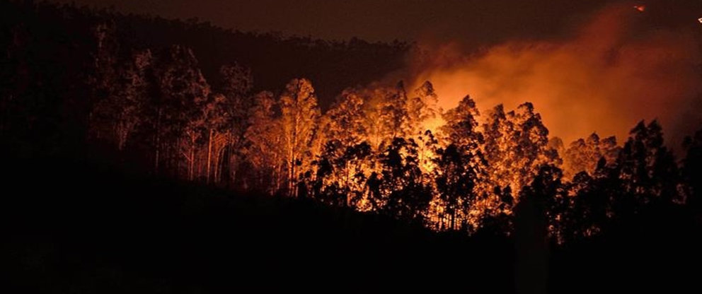 Los incendios han consumido cerca de 2.000 hectáreas. Foto: EFE/Pedro Puente Hoyos