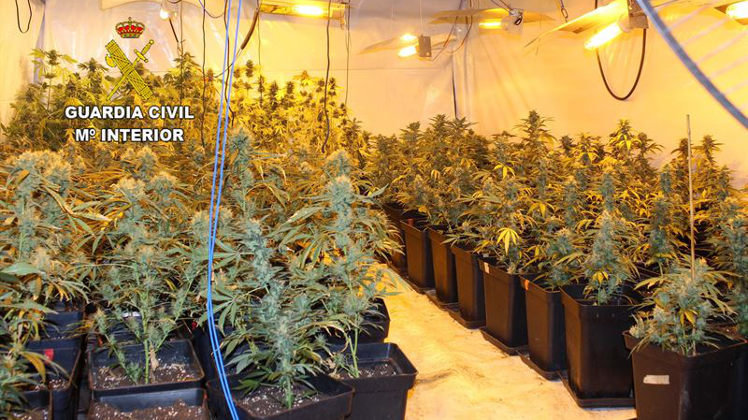 La Guardia Civil ha vuelto a dar un golpe a una plantación de marihuana