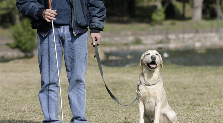 Cantabria extiende la legislación de los perros guía a otras discapacidades