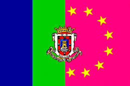Bandera del municipio de Camargo