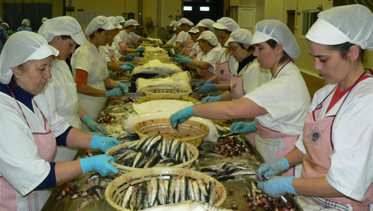 Trabajadoras de una fábrica de anchoas