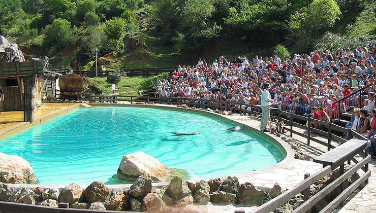 El Parque de la Naturaleza de Cabárceno ha incrementado sus visitas en agosto