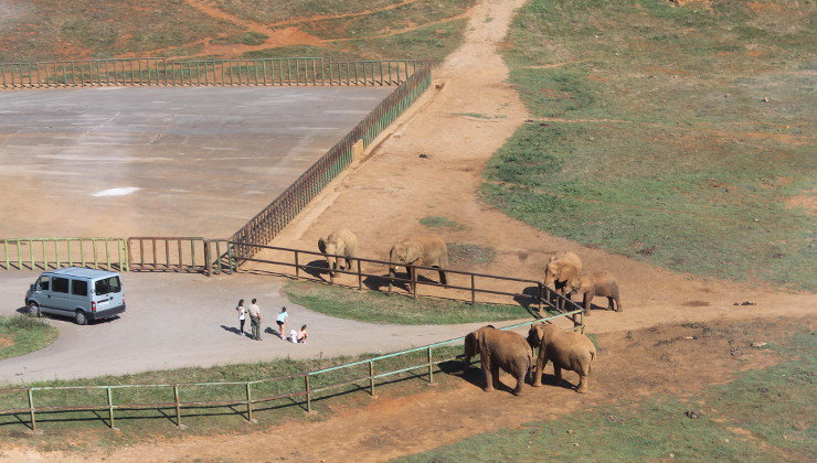 Recinto de los elefantes del Parque de la Naturaleza de Cabárceno