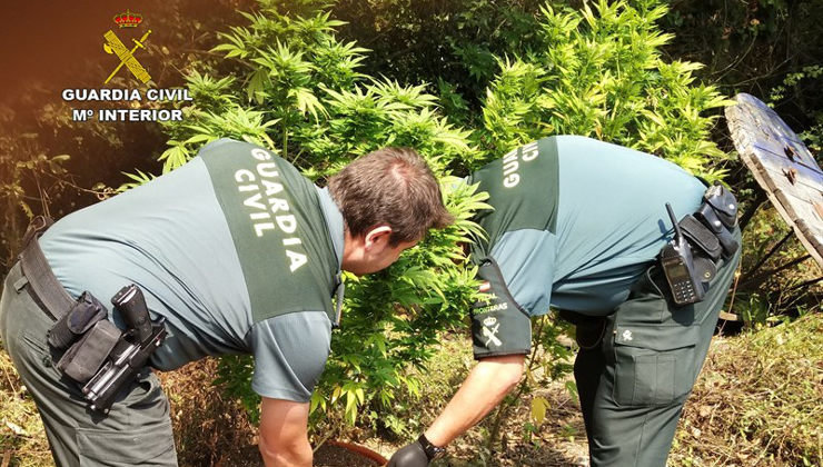 Agentes de la Guardia Civil han desmantelado dos plantaciones de marihuana