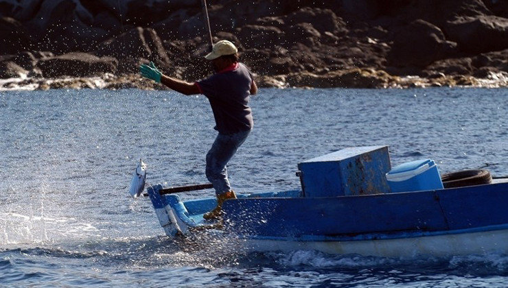 Cantabria restringe el acceso al cebo de la pesca deportiva