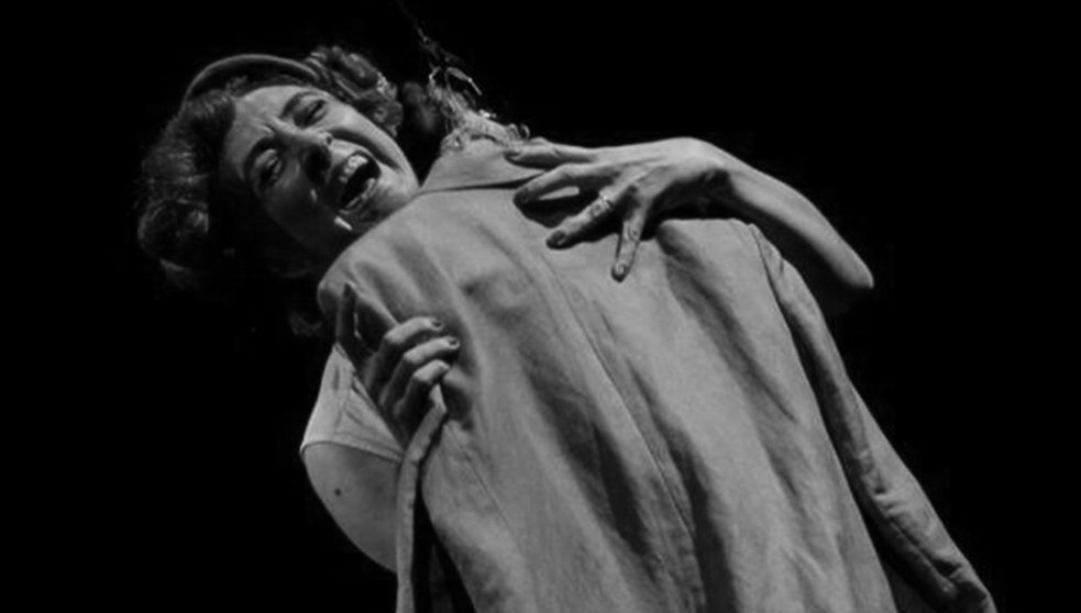 Desde Argentina llega a la Teatrería de Ábrego la obra &#39;Dalias de dormida luna&#39;