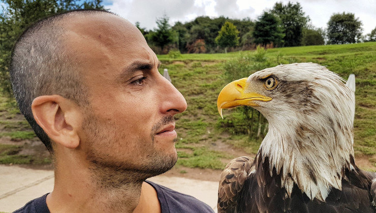 Manu Ginobili, junto a un águila calva. Foto: Twitter (@manuginobili)