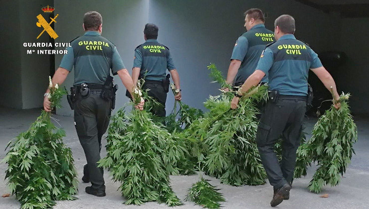 La Guardia Civil ha incautado 44 kilos de marihuana