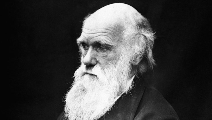La teoría de Charles Darwin podría estar en entredicho. Foto: Pixabay