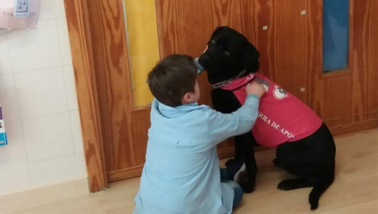 Abril, la perra 'profesora' que ayuda a los niños con problemas