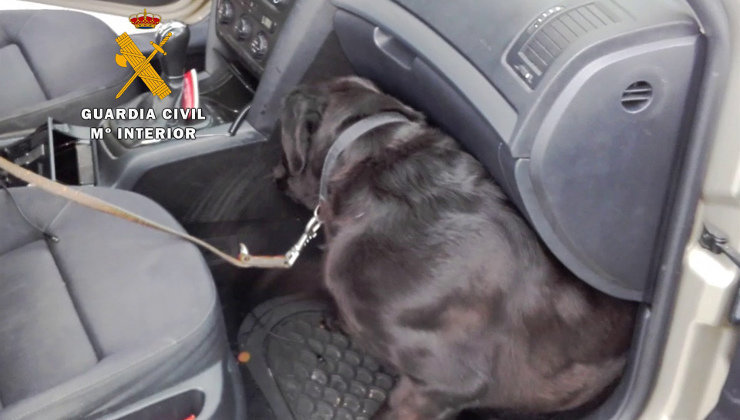 La Guardia Civil ha registrado el vehículo con un perro