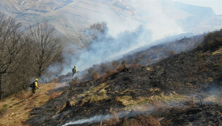 Imagen de archivo de un ncendio forestal