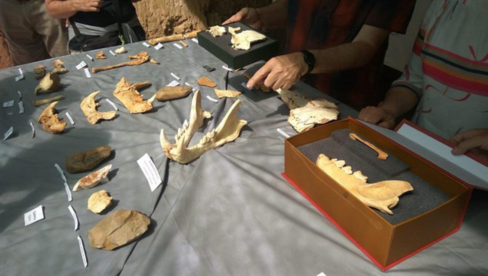 Restos hallados en Atapuerca