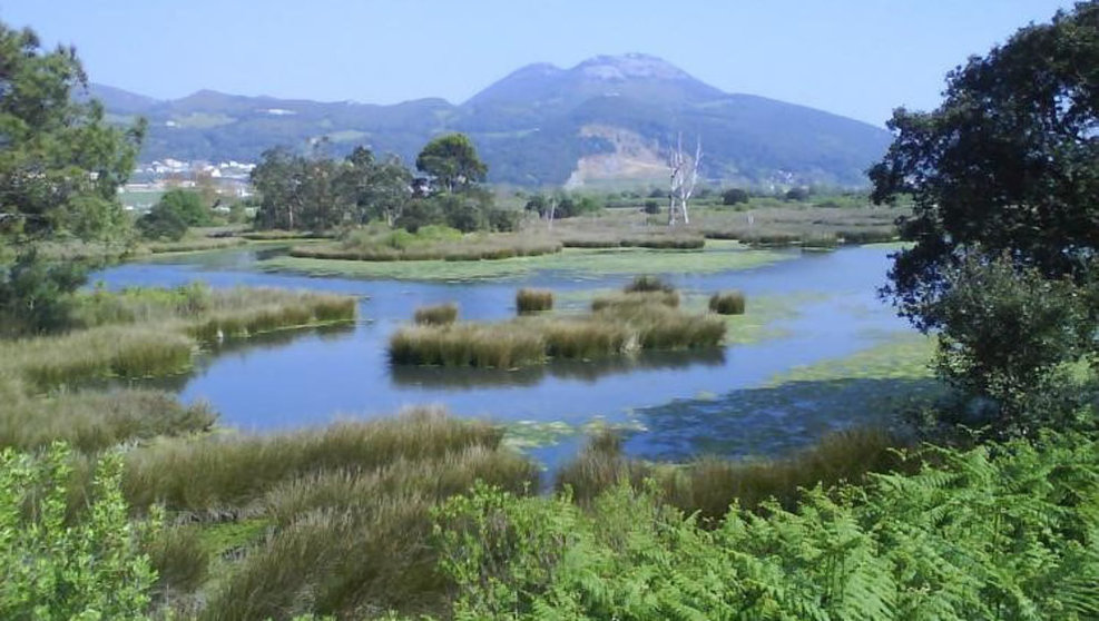 Parque Natural de las Marismas de Santoña, Victoria y Joyel