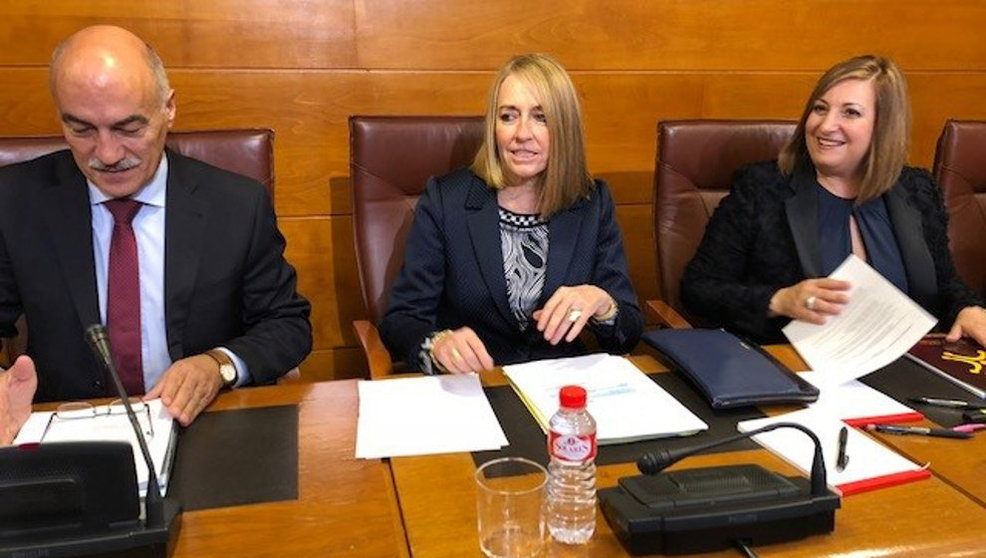 La fiscal superior de Cantabria, Pilar Jiménez, durante su inter