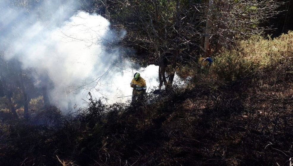 Extinción de incendio por miembros del operativo de Medio Natural