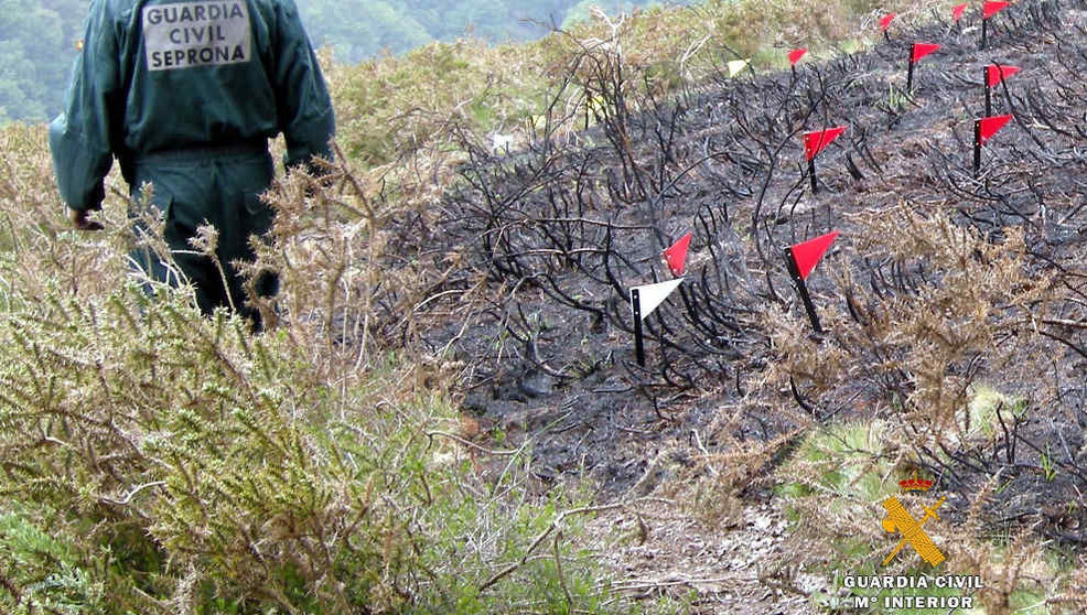 La Guardia Civil investiga el terreno calcinado por el incendio