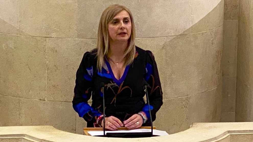 La portavoz del PSOE Cantabria en el Parlamento, Noelia Cobo