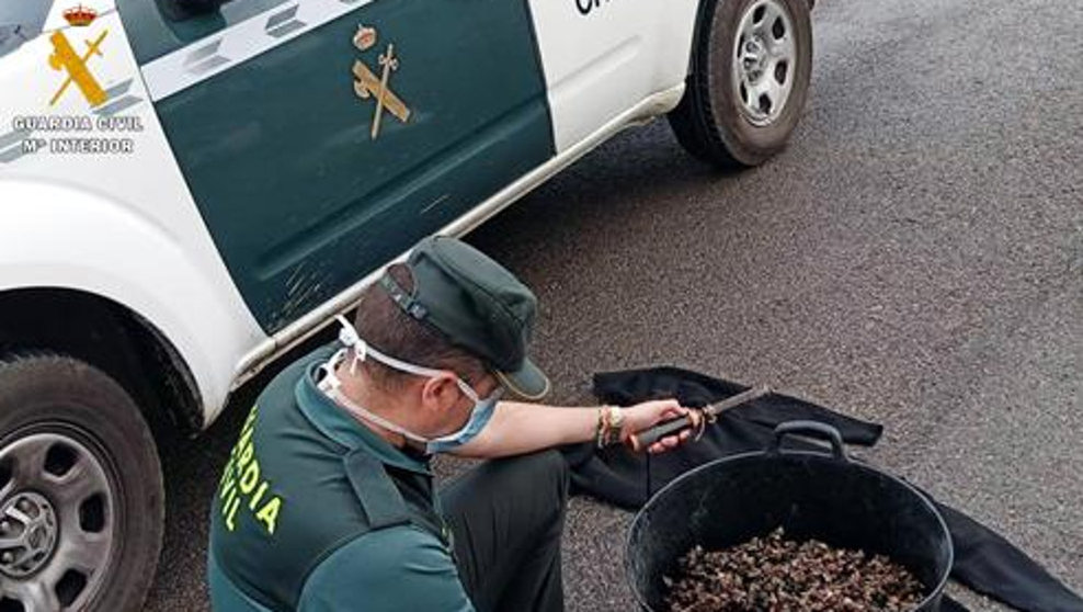 Detienen a tres furtivos en Islares con más de 20 kilos de percebes