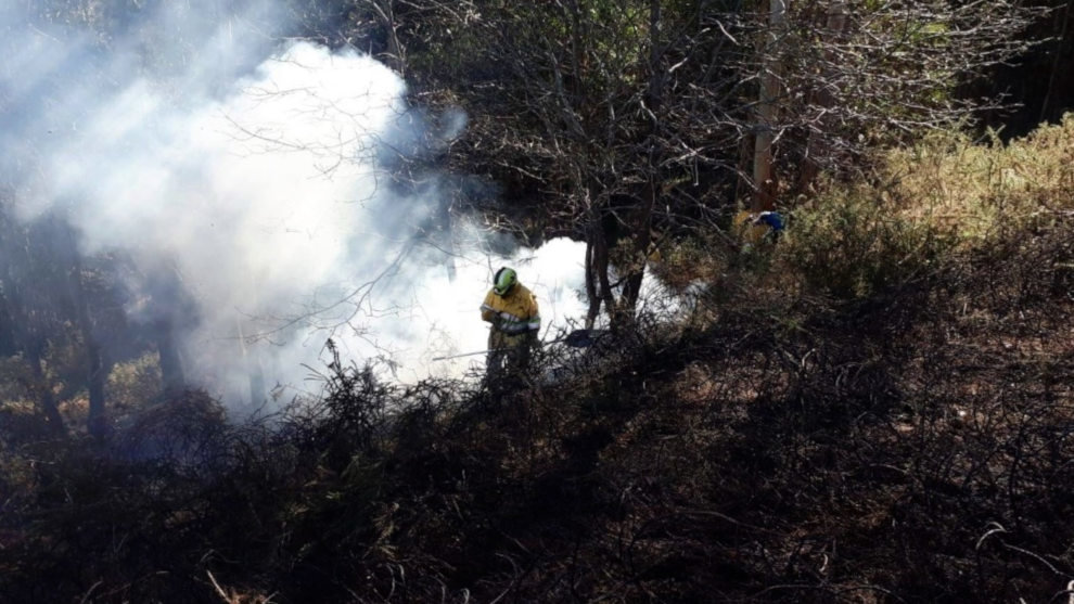 Extinción de un incendio por miembros del operativo de Medio Natural