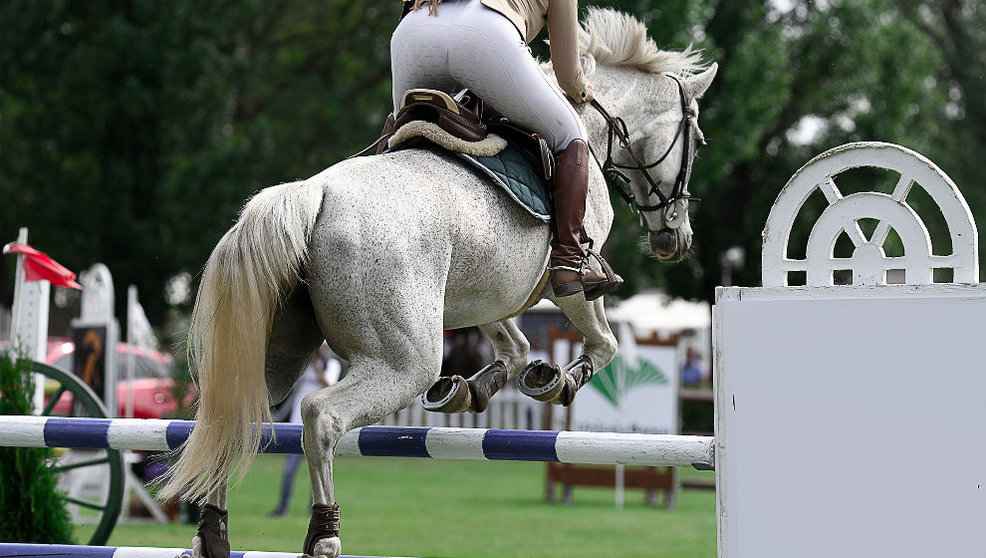 La intoxicación de los caballos se produjo durante un concurso de hípica en Cantabria