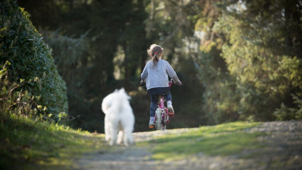 Imagen de una niña en bicicleta acompañada de su perro facilitada por la Universitat Rovira i Virgili de Tarragona