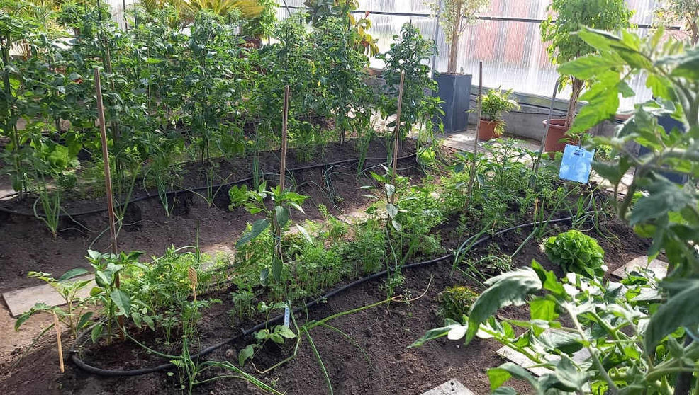 El Centro Municipal de Formación de Camargo ha ampliado sus cursos sobre horticultura y jardinería