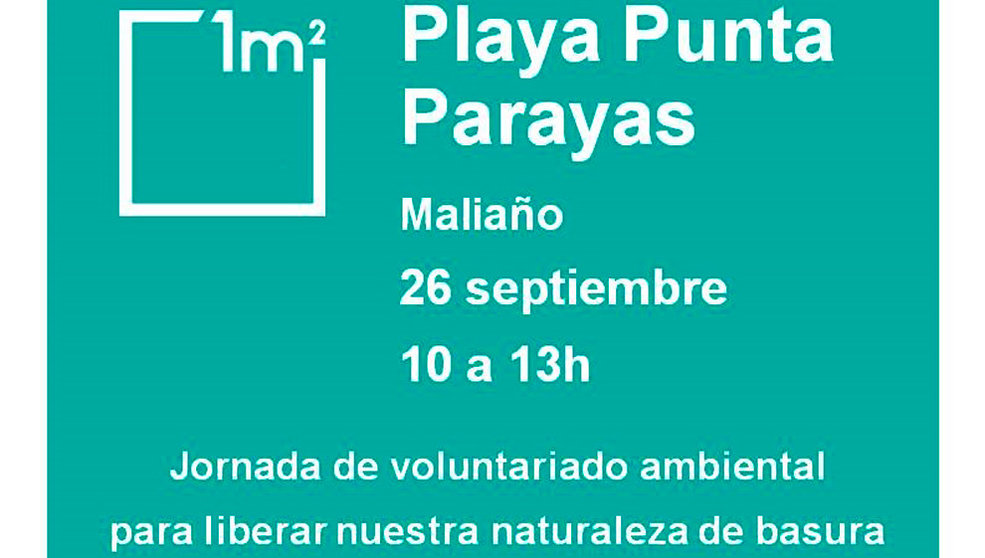 Cartel de la acción de voluntariado ambiental en Punta Parayas (Camargo)
